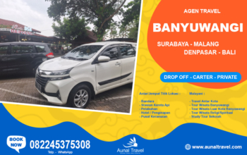 travel antar kota banyuwangi bandara