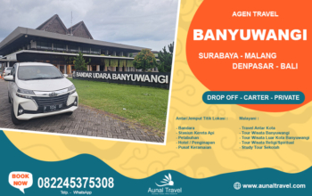 travel mobil carter bandara