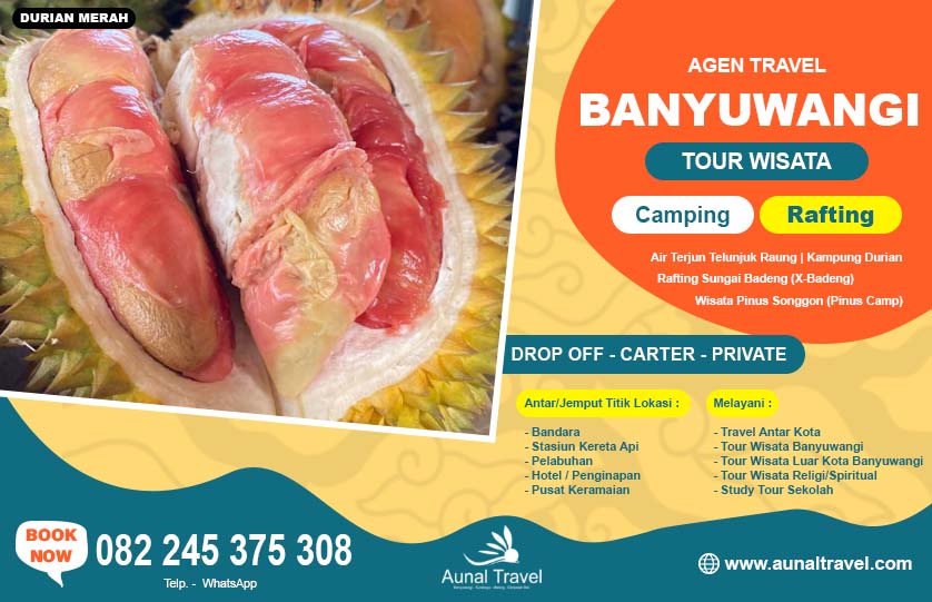 Durian Merah Songgon Banyuwangi