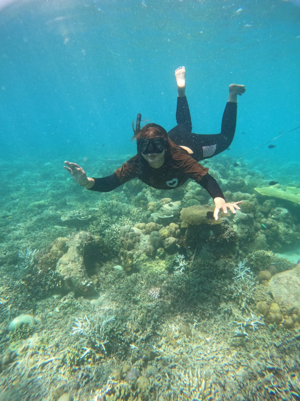 pulau tabuhan