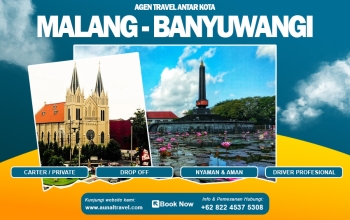 travel malang banyuwangi profesional