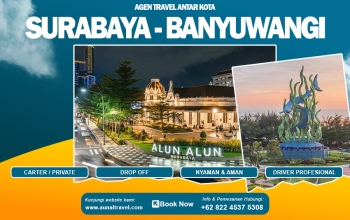 travel surabaya banyuwangi murah nyaman pro