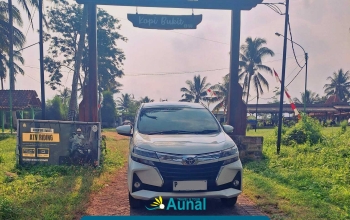 kopi bukit banyuwangi
