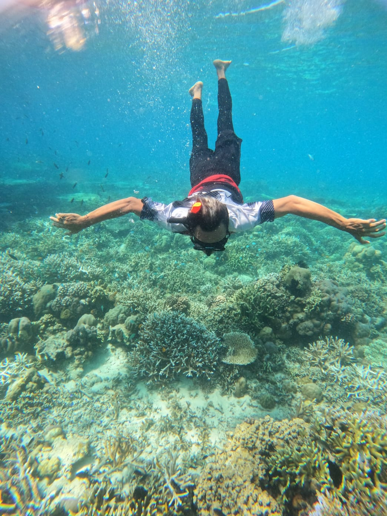snorkling pulau tabuhan banyuwangi